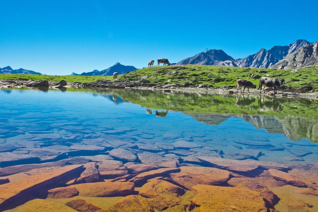 Apart Auszeit Solden Bagian luar foto