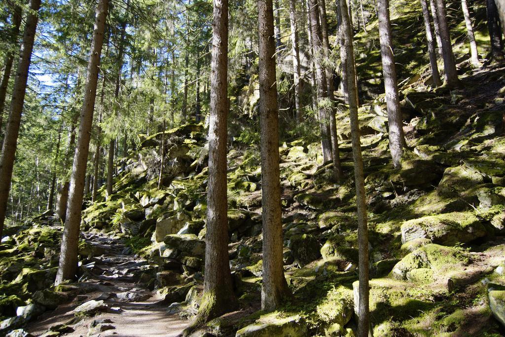 Apart Auszeit Solden Bagian luar foto